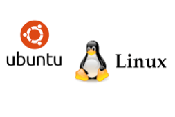 Linux常用命令-4：cat