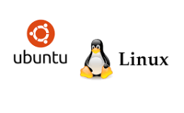 常用的ubuntu系统快捷键